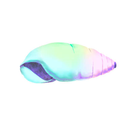 watercolor illustration of rainbow-colored shell. Bright seashellsの写真素材