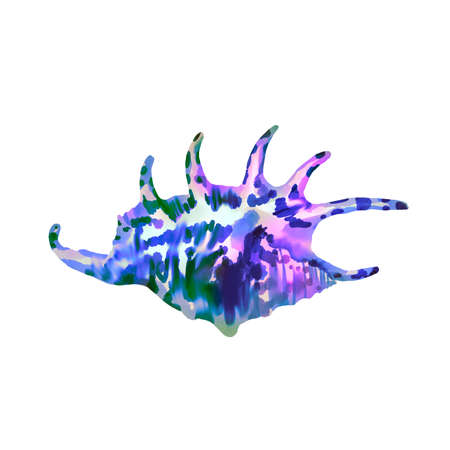 watercolor illustration of rainbow-colored shell. Bright seashellsの写真素材