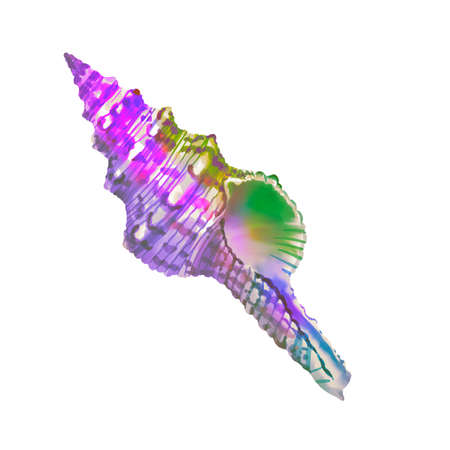 watercolor illustration of rainbow-colored shell. Bright seashellsの写真素材