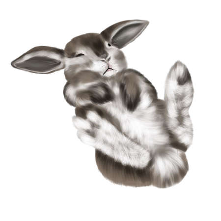 watercolor realistic brown rabbit with white belly. Illustration of a bunny. sleeping hare on its backの写真素材