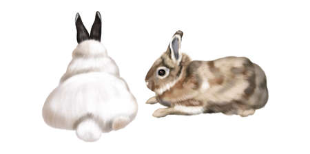 A set of realistic bunnies. Watercolor illustration of colored rabbits on a white backgroundの写真素材