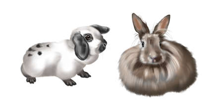 A set of realistic bunnies. Watercolor illustration of colored rabbits on a white backgroundの写真素材