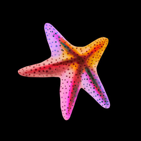 Starfish watercolor painting isolated on black background. Watercolor illustration , sea animal drawing.の写真素材