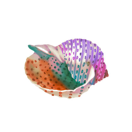 watercolor illustration of rainbow-colored shell. Bright seashellsの写真素材