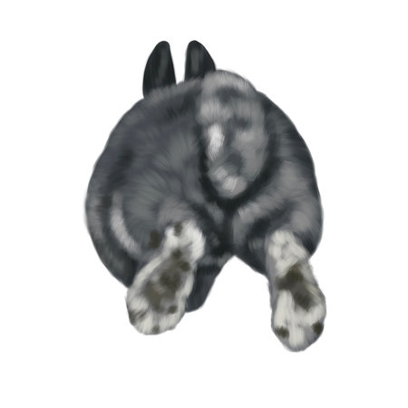 watercolor realistic gray rabbit. Illustration of a bunny. the rabbit runs away. rabbit assの写真素材