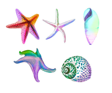 Watercolor set of marine rainbow color. bright colorful set: shells, starfish and sea urchinの写真素材