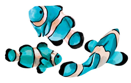 Watercolor Bright neon fish. Clownfish. variegated bright fishの写真素材