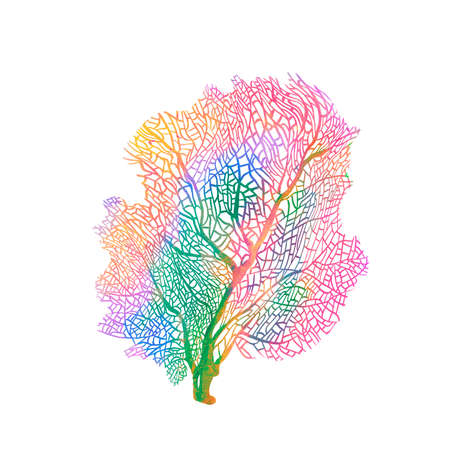 Beautiful underwater composition with watercolor sea life coral stock illustrations.の写真素材