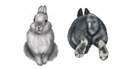 A set of realistic bunnies. Watercolor illustration of colored rabbits on a white backgroundの写真素材