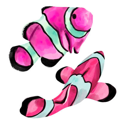 Watercolor Bright neon fish. Clownfish. variegated bright fishの写真素材