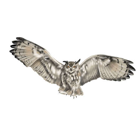 Watercolor illustration of an owl. a flying scarecrow. Owl family. Bubo Buboの写真素材