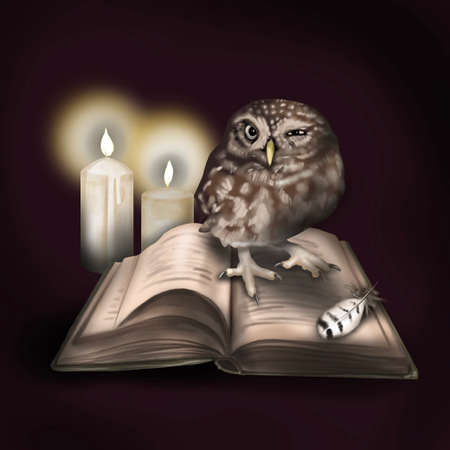 Watercolor illustration of an owl small. Northern pygmy owl. winks sweet. Realistic image on booksの写真素材