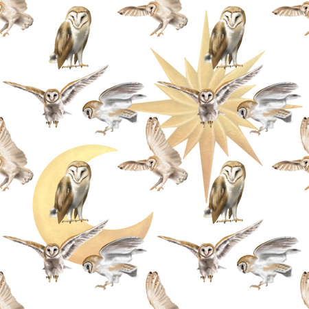 Watercolor Seamless pattern flying owl barn owl. A realistic illustration of an owl. digital paper. White bird with beige wings and head nocturnal birdの写真素材
