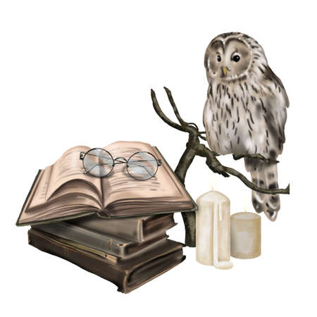 Watercolor illustration of a sitting owl. Realistic tawny owl. Brown owl, books and reading glassesの写真素材