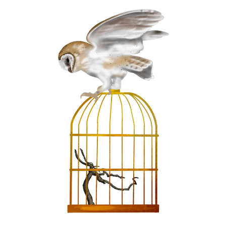 Watercolor flying owl barn owl. A realistic illustration of an owl. White bird with beige wings and head nocturnal birdの写真素材