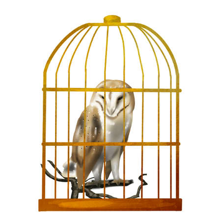 Watercolor flying owl barn owl. A realistic illustration of an owl. White bird with beige wings and head nocturnal birdの写真素材