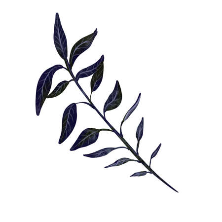 Watercolor nigh garden isolated on a white background. Bouquet of dry herbs. Fashionable decorの写真素材