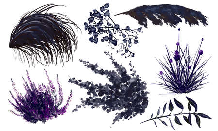 Watercolor set nigh garden isolated on a white background. Bouquet of dry herbs. Fashionable decorの写真素材