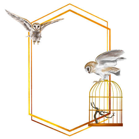 watercolour gold frame with owl barn owl. Realistic illustration with owlsの写真素材