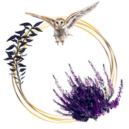 watercolour gold frame with owl barn owl. Realistic illustration with owlsの写真素材