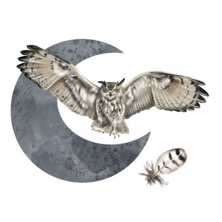 Watercolor illustration of a owl. Realistic owl is white with yellow eyes. Moon backgroundの写真素材