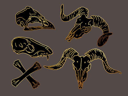 Gold line. Graphical set. animal skulls linear art.の写真素材