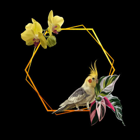 watercolor realistic frame. Tropical frame with corella parrot, orchids and strelitzia.の写真素材