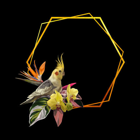 watercolor realistic frame. Tropical frame with corella parrot, orchids and strelitzia.の写真素材