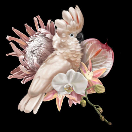Bird of Paradise. Tropical bouquet. Pink cockatoo, protea, anthurium and orchids. realistic illustration.の写真素材