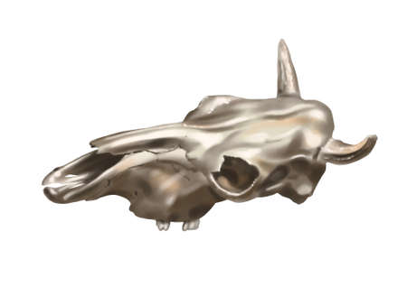 Watercolor illustration of a buffalo skull. Realistic animal skull. Wild Westの写真素材