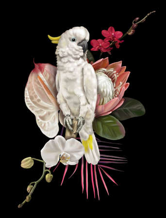 Bird of Paradise. Tropical bouquet. white cockatoo, protea, anthurium and orchids. realistic illustration.の写真素材