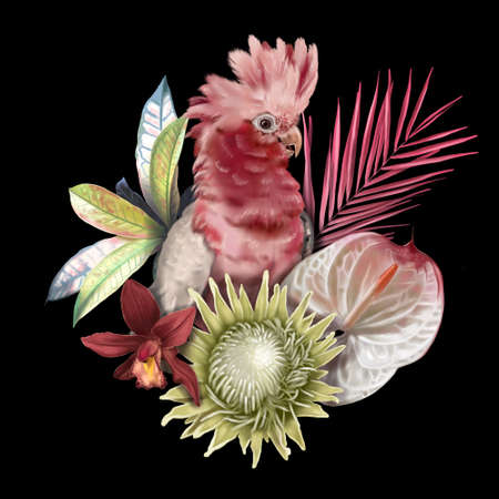 Bird of Paradise. Tropical bouquet. Pink cockatoo, palm leaves, proteus and orchids. realistic illustration.の写真素材