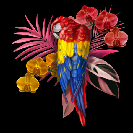 Tropical bouquet. Macaws, orchids and palm leaves. Realistic illustrationの写真素材