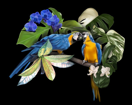 Bird of Paradise. Tropical bouquet. Macaws, monsteras and orchids. realistic illustration.の写真素材