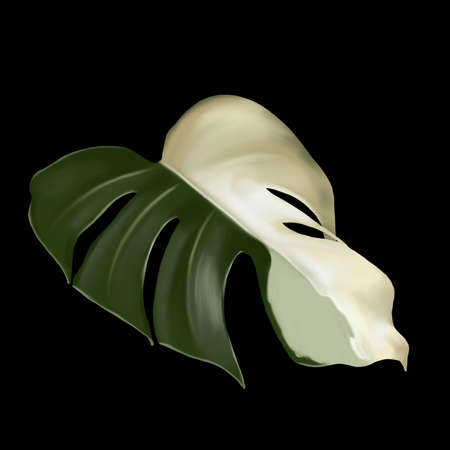 sheet monstera alba. tropical leaf with white spots. Watercolor sheetの写真素材