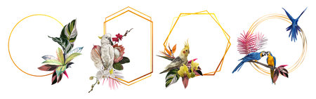 A set of tropical frames. Parrots. Realistic illustration of tropical flowers and leaves.の写真素材