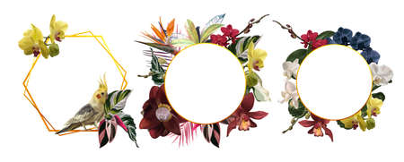 A set of tropical frames. Parrots. Realistic illustration of tropical flowers and leaves.の写真素材