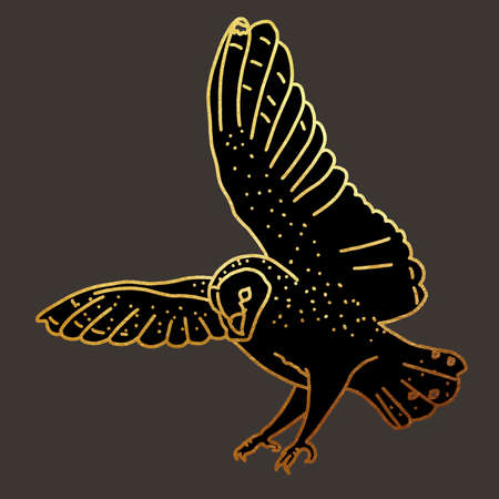 illustration of a barn owl. A flying bird. graphic illustration with golden lines on a dark backgroundの写真素材