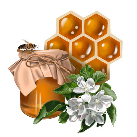 honey composition. watercolor realistic illustration of honey, flowers, honeycombs and beesの写真素材