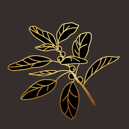 illustration of witch herbs. golden linear graphics on a dark backgroundの写真素材