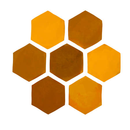 Watercolor honeycombs. Realistic honeycomb with honey isolated on a white backgroundの写真素材