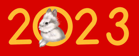 Happy Chinese new year greeting card 2023 with rabbit. Animal holidays realistic character.