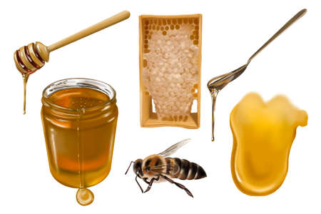 Watercolor set. Honey, bees, wild flowers, honey spoon, honey jars. illustration of honey collection