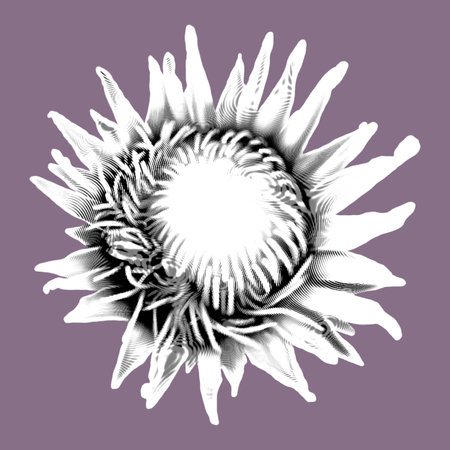 Protea. graphic Proteus. A flower is realistic on a onk. graphic illustrationの写真素材