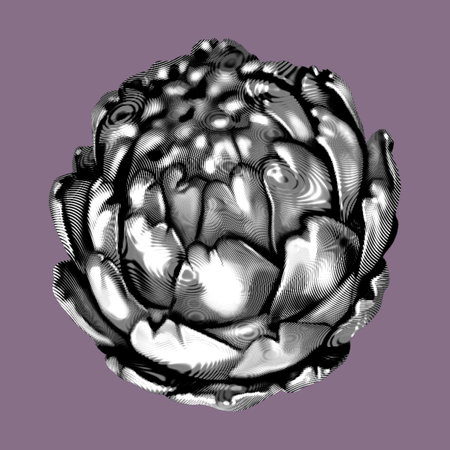 Graphic Artichoke. A flower is realistic on a isolate background. Graphic inkの写真素材