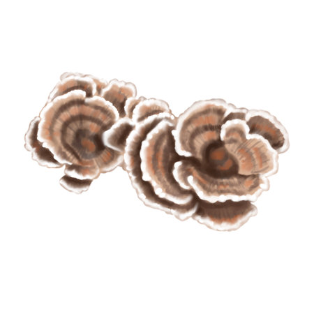 watercolor mushrooms growing on trees. Realistic illustration of a group of mushrooms.の写真素材