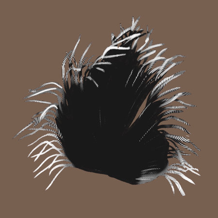 graphic green pampas grass isolated on a white background. Bouquet of dry herbs. Fashionable decorの写真素材