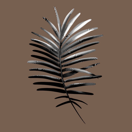 Graphic palm leaf. Ink Tropical foliage. Graphic tropical leafの写真素材