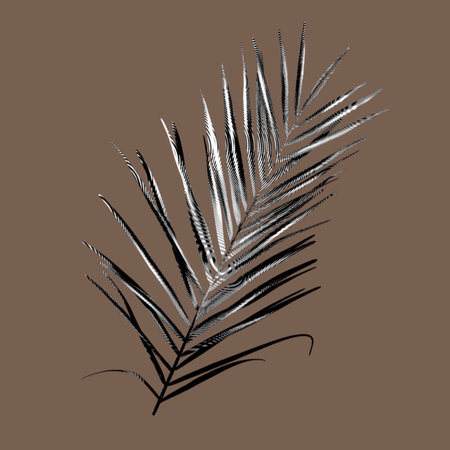 Graphic palm leaf. Ink Tropical foliage. Graphic tropical leafの写真素材