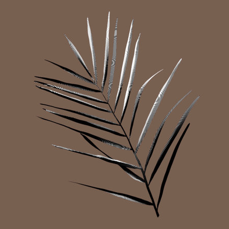 Graphic palm leaf. Ink Tropical foliage. Graphic tropical leafの写真素材
